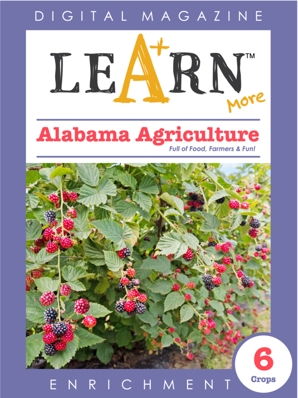 Alabama Agriculture